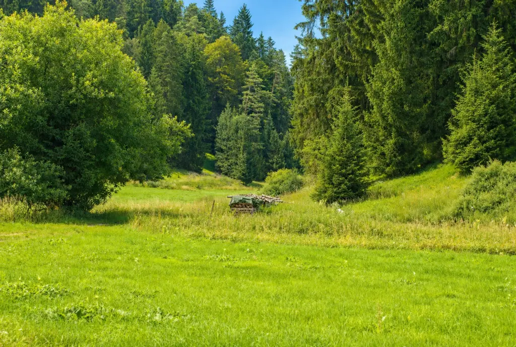 Freizeit genießen im Anlautertal